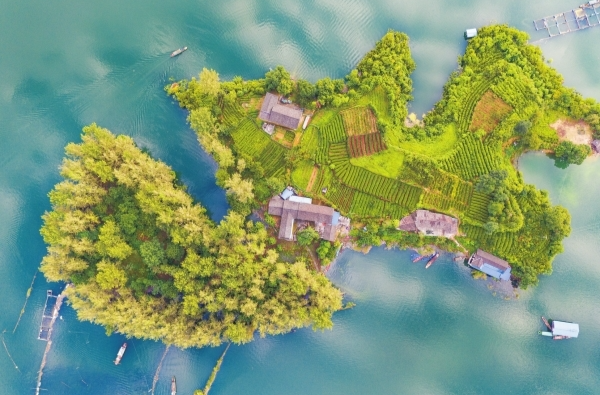 大湖新记｜栖凤湖畔百业兴@湖南日报