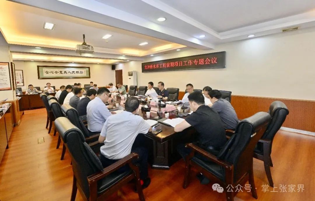 王洪斌专题调度宜冲桥水库工程前期工作