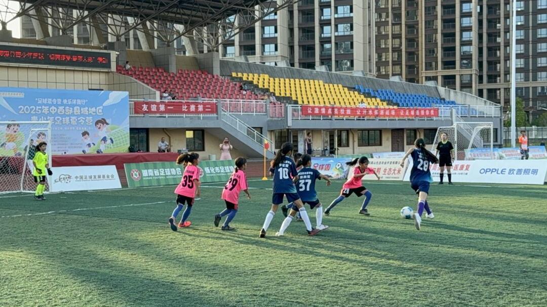 辰溪县2025年小学生足球夏令营活动圆满举行
