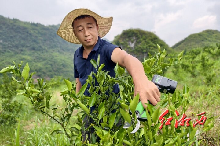 湖南省殘疾人創(chuàng)業(yè)就業(yè)典型 | 石任：獨(dú)掌剪出“橙”功路
