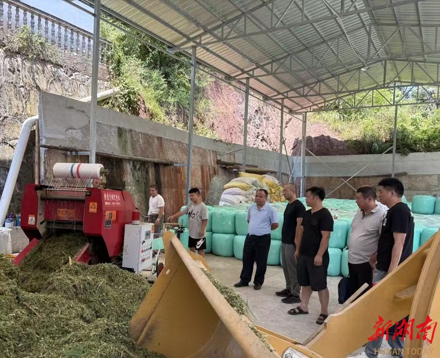 省级指导组深入桑植县 把脉秸秆综合利用