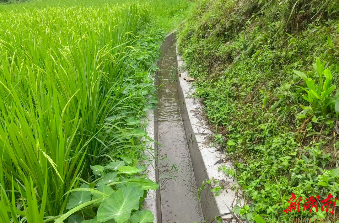 解民憂、惠民生的“及時雨”，麻陽建設小型農田水利設施