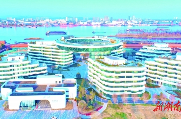 長沙，守護民營經(jīng)濟向陽生長