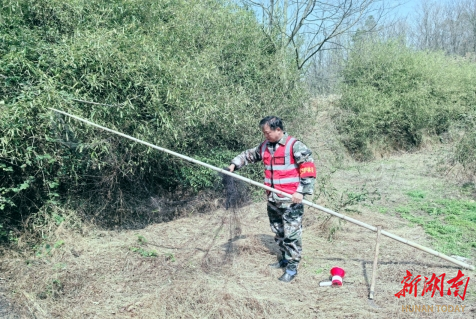 世界護林員日，聽聽美麗岳陽守護者的故事