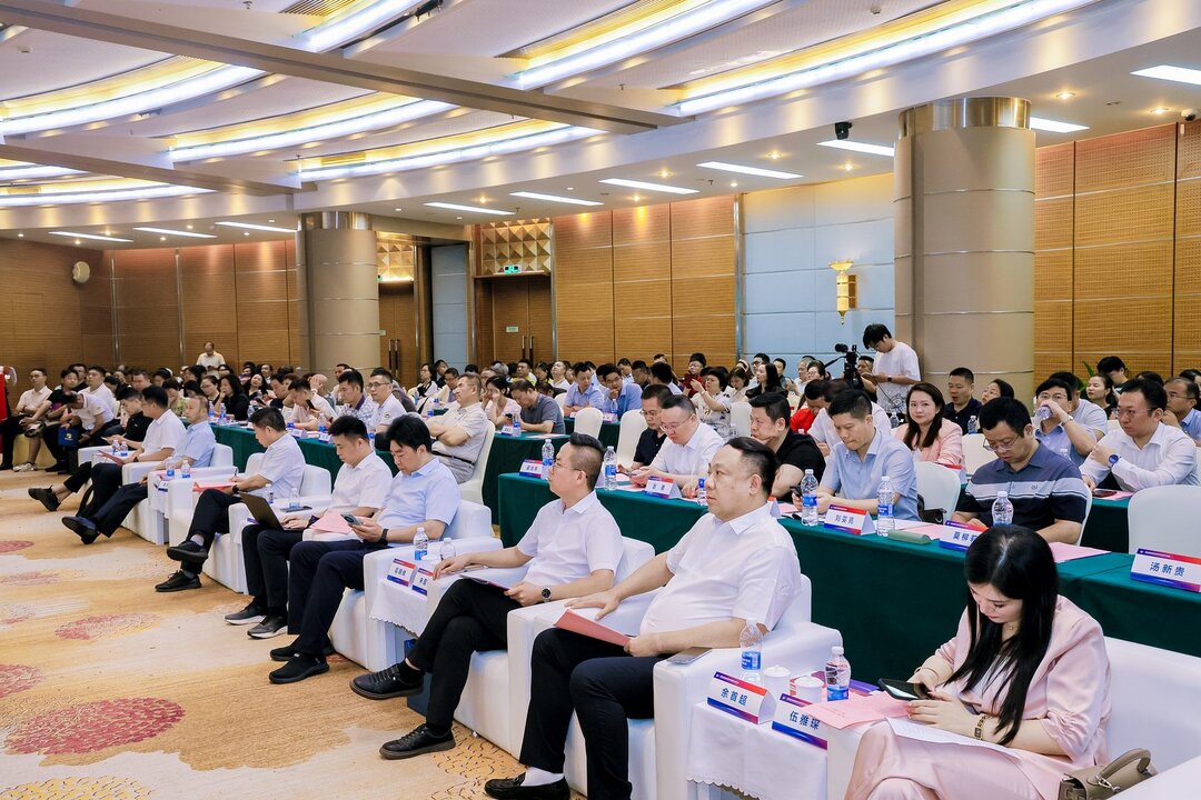鹏城论道低空 2025湖南低空博览会专题推介会走进深圳