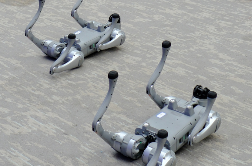 Science Popularization Event on Robot Dogs Organized for Children During Summer Vacation
