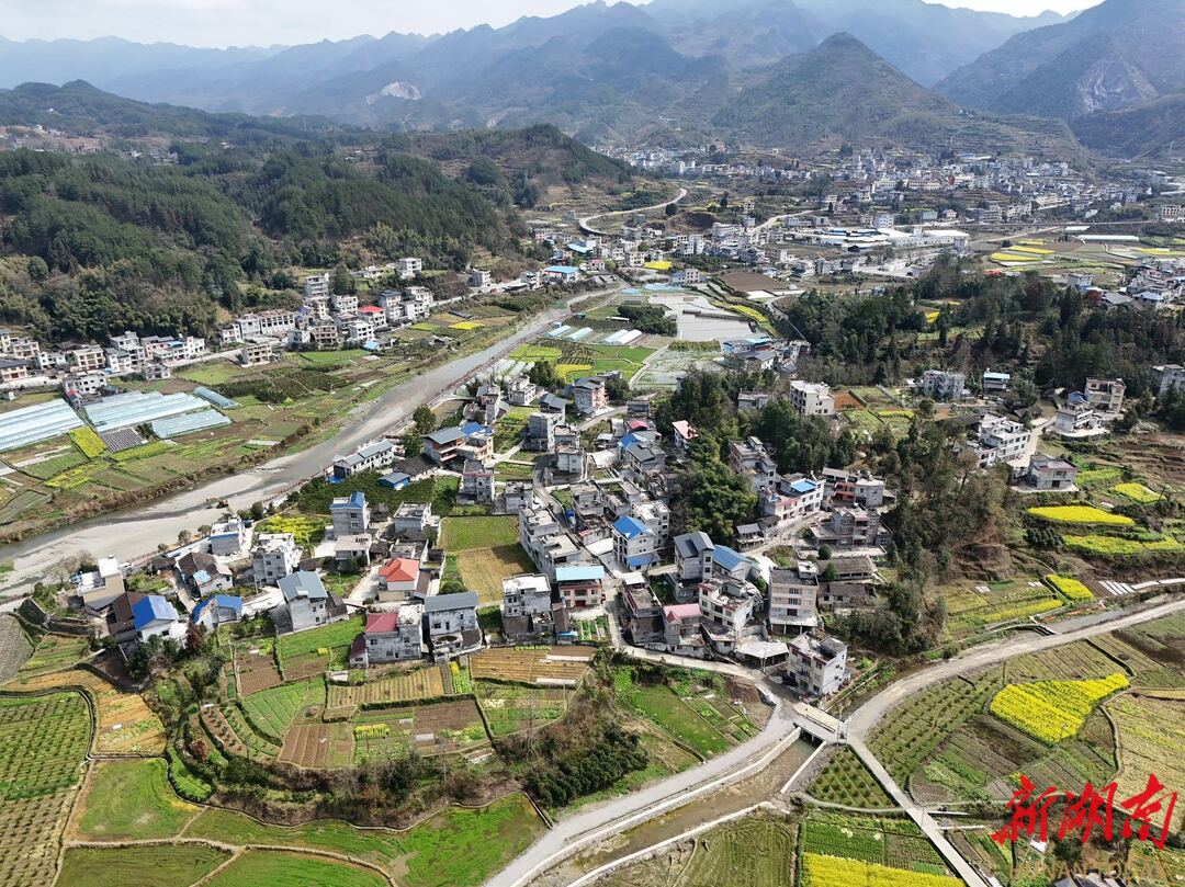 職業(yè)院校與地方政府聯(lián)動——鄉(xiāng)村振興戰(zhàn)略實施的合力機制思考