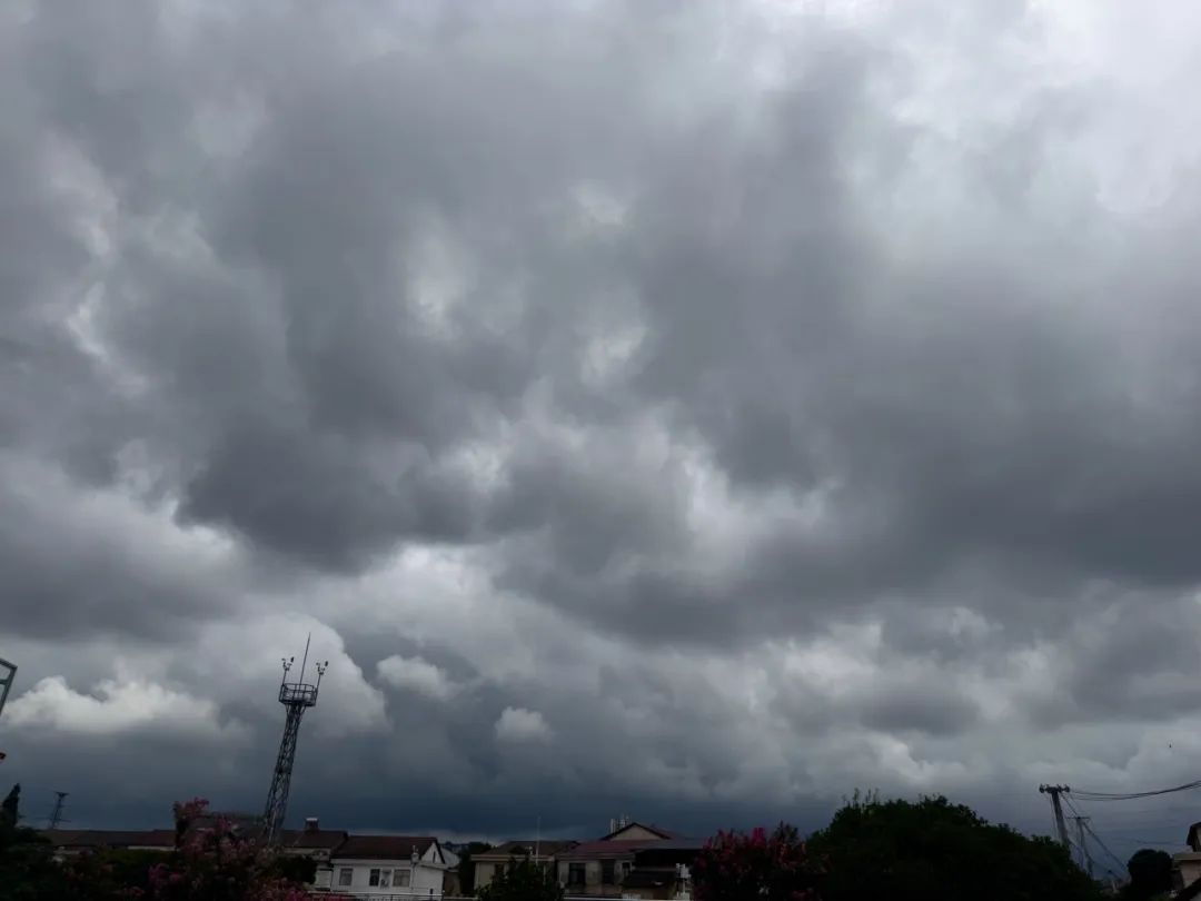 臺風 “竹節(jié)草” 來襲！ 今晚到明天白天省內多陣雨局地有暴雨