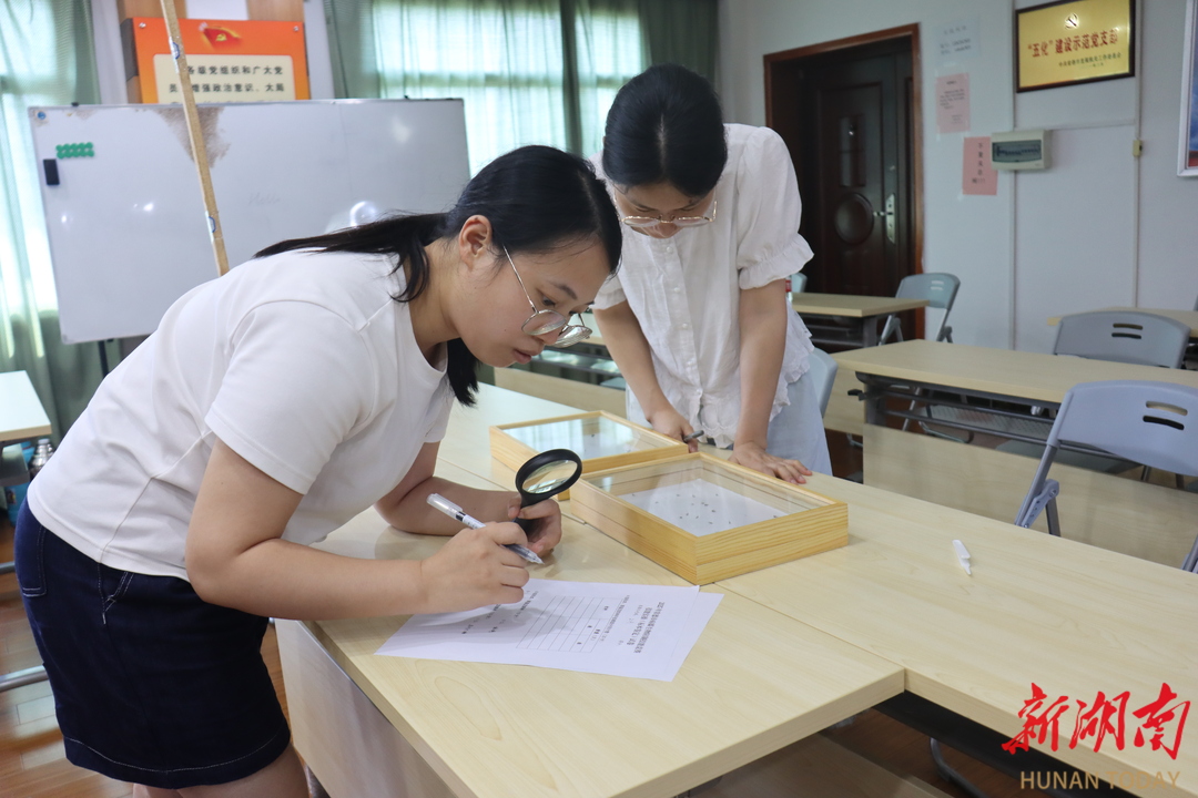 技能大比武！常德市病媒生物防制竞赛展专业风采
