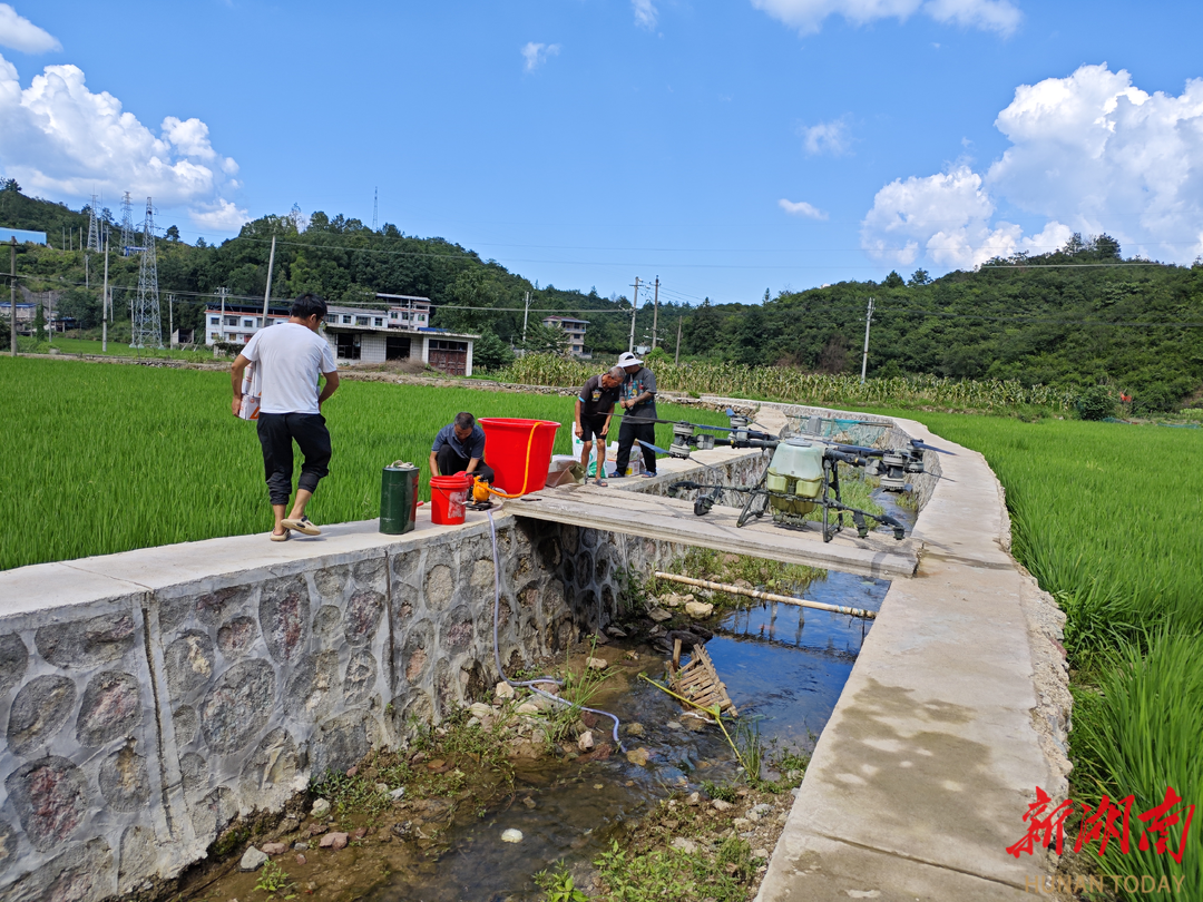 永順縣青坪鎮(zhèn)：無人機(jī)“飛防”助力農(nóng)業(yè)生產(chǎn)