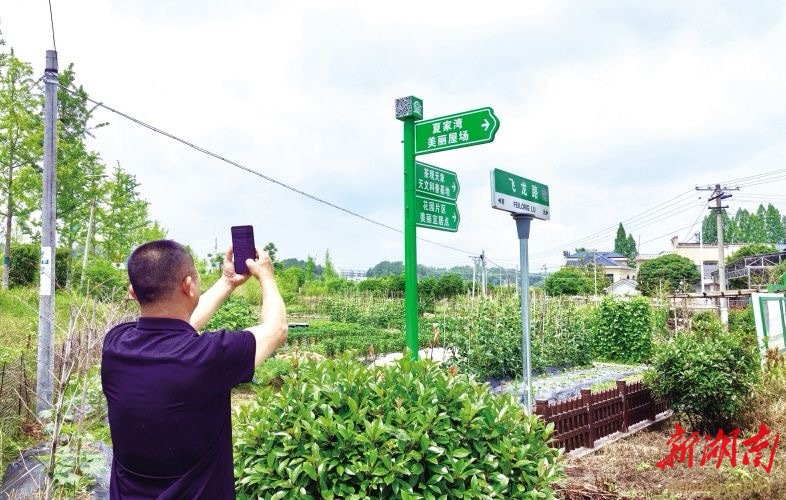长沙县“乡村著名行动”结硕果：乡愁有名可寻，振兴有路可走