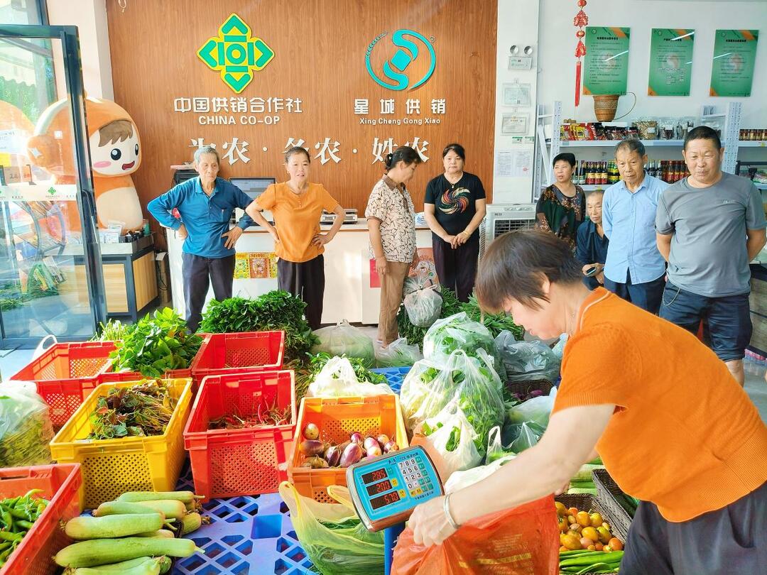数字“新农人”陈帅：打破壁垒 让农家好菜出村进城