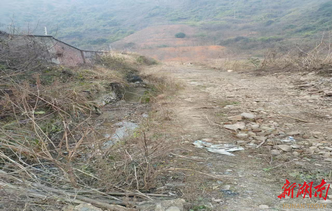 北湖區(qū)主動(dòng)服務(wù) 推進(jìn)移民后期扶持項(xiàng)目建設(shè)