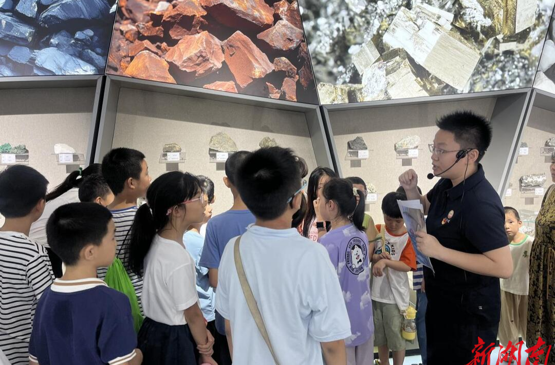 黨建共建添活力，少年團(tuán)解鎖地質(zhì)奧秘