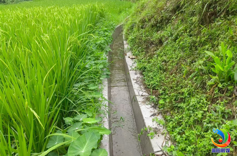 麻陽推進小型農田水利設施建設，一個個“接地氣”的水利工程落地見效