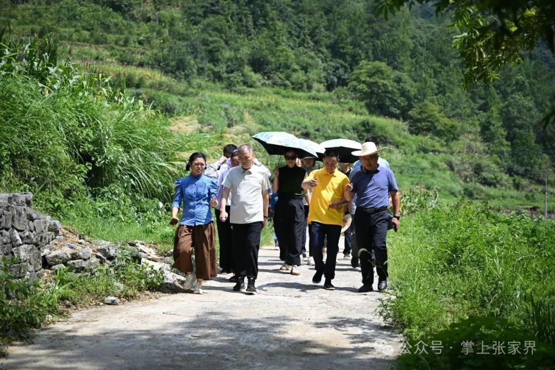 市政协委员学习联络委活动组开展委员活动助力文旅发展与生态保护