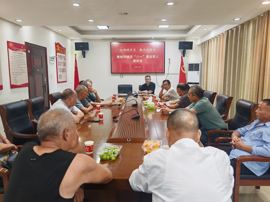 娄底市双峰县青树坪镇：忆峥嵘岁月 敬不朽荣光