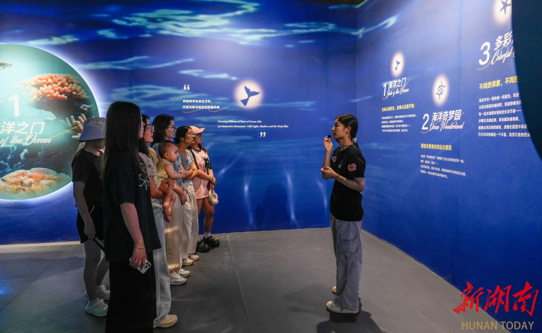 “遇見海洋：沉浸式奇幻光影展”長(zhǎng)沙步步高梅溪新天地開展 