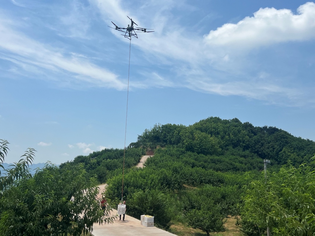 电商赋能，深山鲜果香飘万里——沅陵黄桃“触电”记