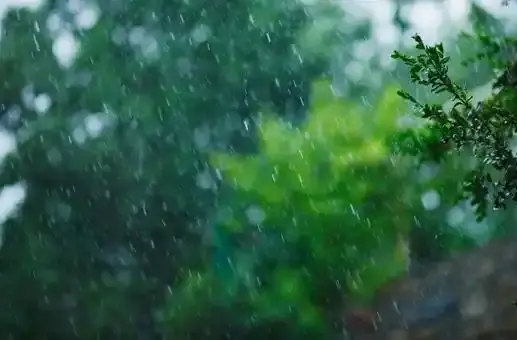 湖南升级发布高温橙色预警 未来四天长沙午后多阵雨