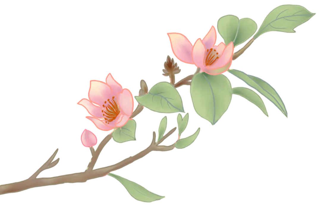 女性在生理期不能运动……是真是假？ | 谣言终结站