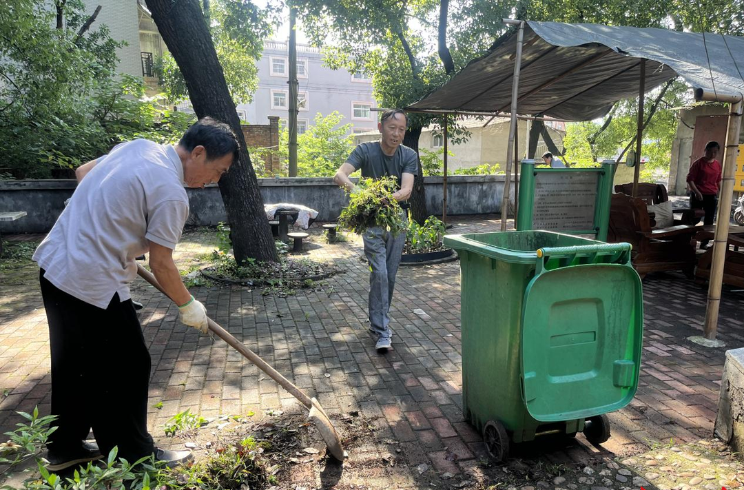 荷塘区开展爱国卫生运动 科学治理筑牢防蚊灭蚊防线
