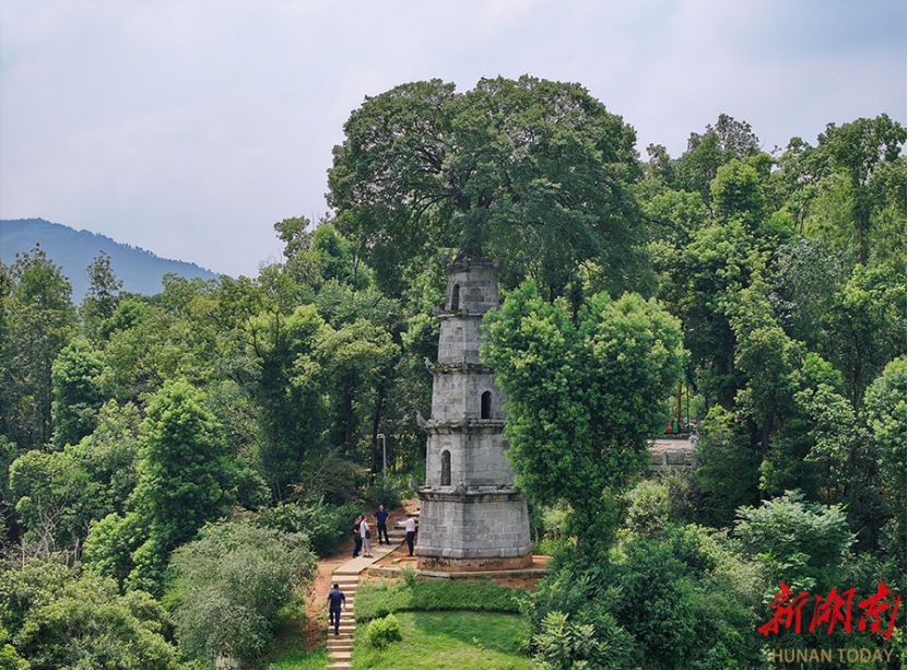 Changsha's Xizi Tower Enters Best Viewing Period