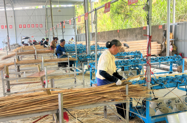 溆浦：小南竹催生大产业，力争到2030年产值超10亿元