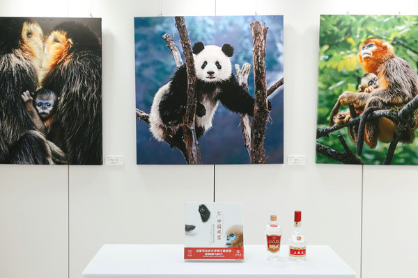 Exhibition celebrates inspiration behind Chengdu World Games mascots