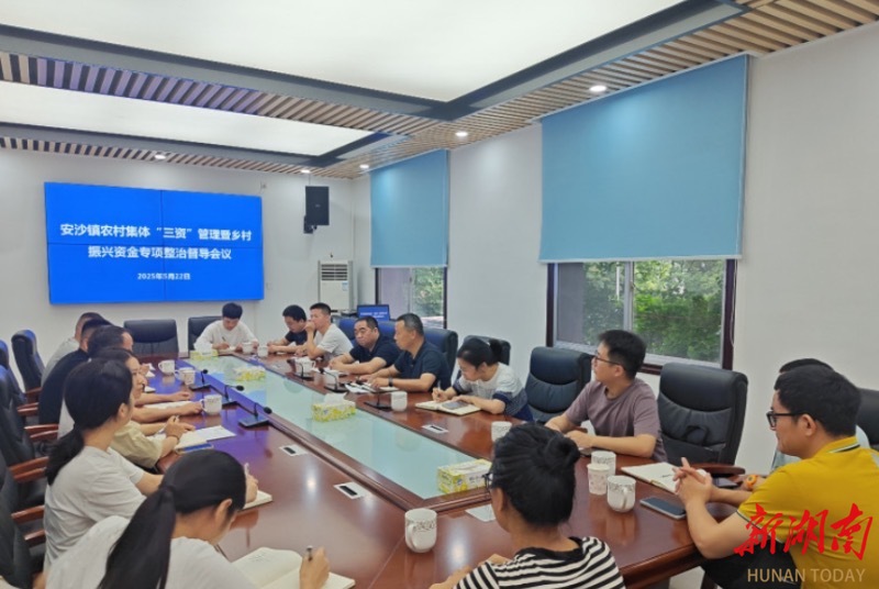 从“闲置”到“增收” 长沙县农村“三资”管理激发共富动能