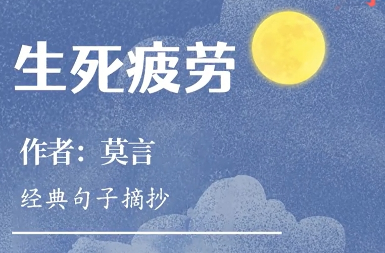 阅光③|被生活按在地上摩擦时 这本书治好了我的内耗