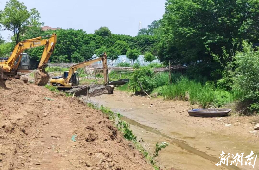 回龍村：疏通排澇“生命線”，暢通水渠解民憂