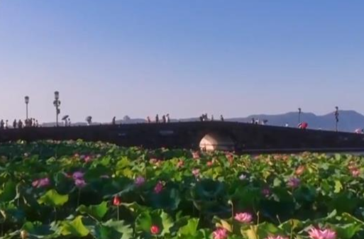 电视专题片《文化的力量——习近平文化思想在浙江的溯源与实践》今晚开播
