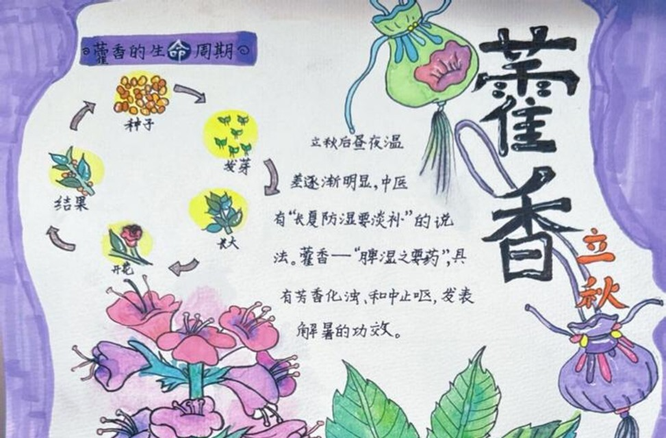 節(jié)氣湖南·物候|立秋：樟葉噙風 秋思翻涌