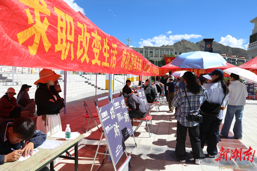 560个岗位！湘藏两地43家企业齐聚桑日揽英才