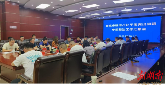 省自然资源厅核查指导娄底耕地占补平衡突出问题专项整治工作