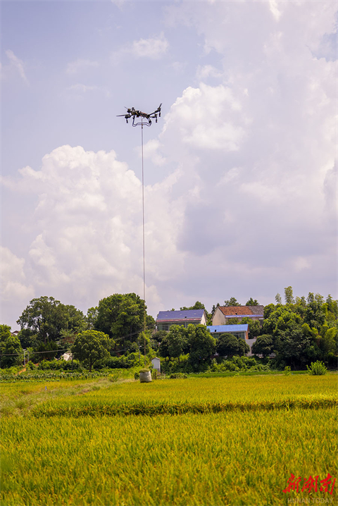 Drone Application Facilitates Straw Delivery in Countryside