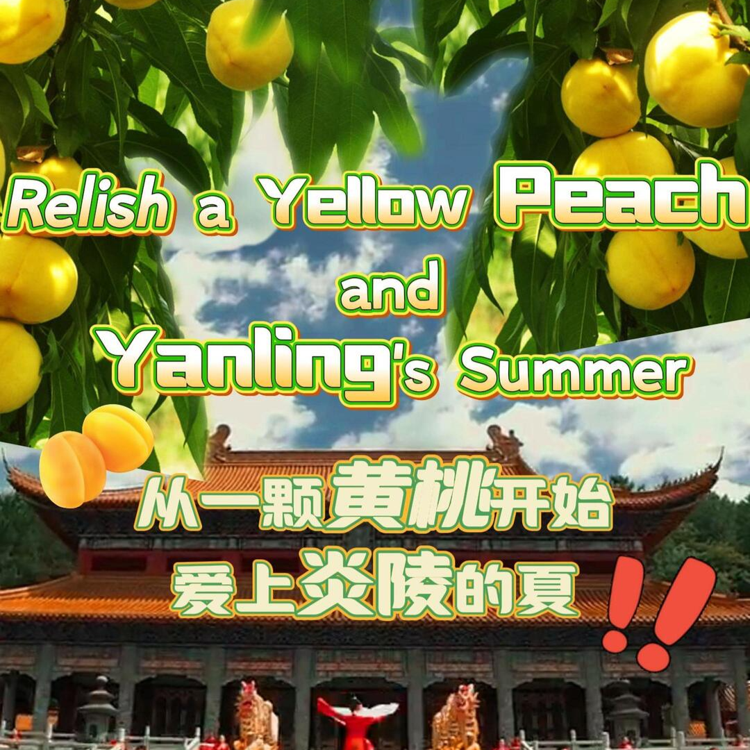 湖南真好玩·清涼一夏丨從一顆黃桃開始，愛上炎陵的夏 