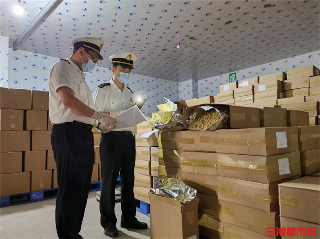 Hunan Imports First Batch of Kenya Macadamia Nuts This Year