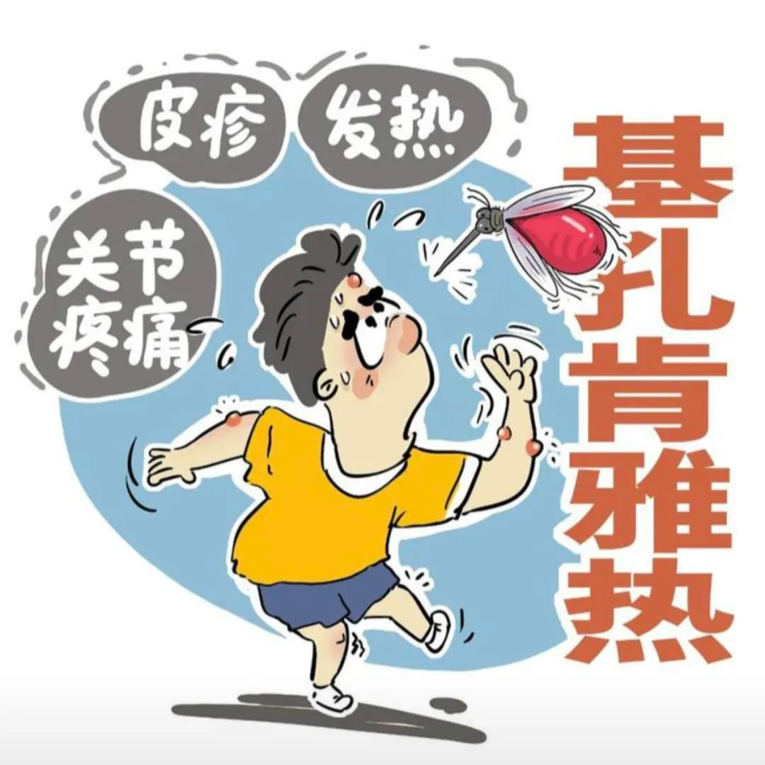 关于基孔肯雅热，你需要知道这些