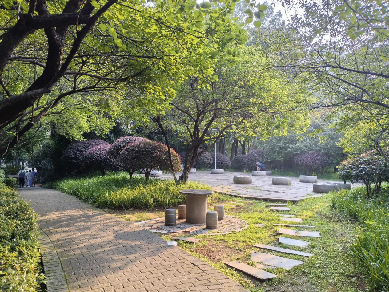 夜幕下的相遇，我送老人“回家”