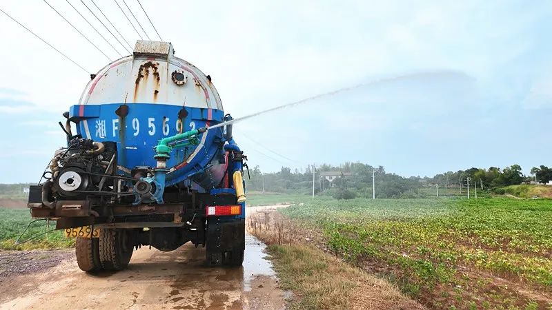 种植大户张兵驹：改装洒水车抗旱 大豆稳产有“凉”方