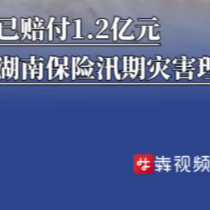 已赔付1.2亿元，湖南保险汛期灾害理赔响应迅速