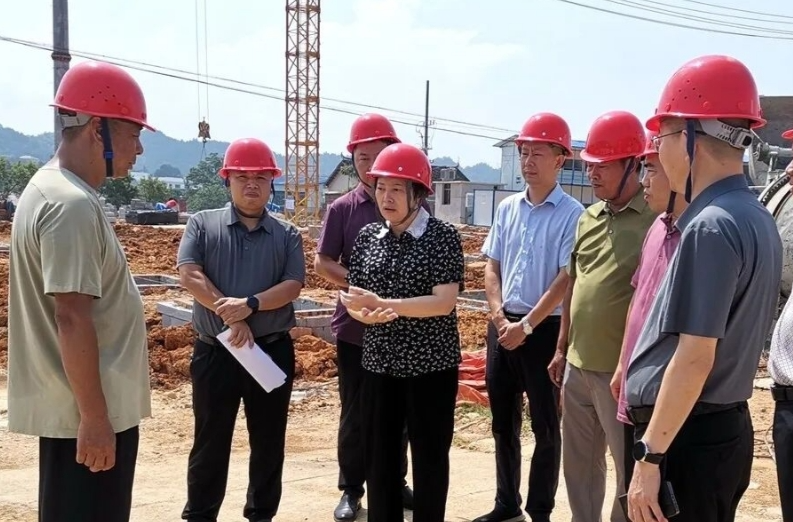 新化县领导督导部分乡镇（街道）重点项目建设