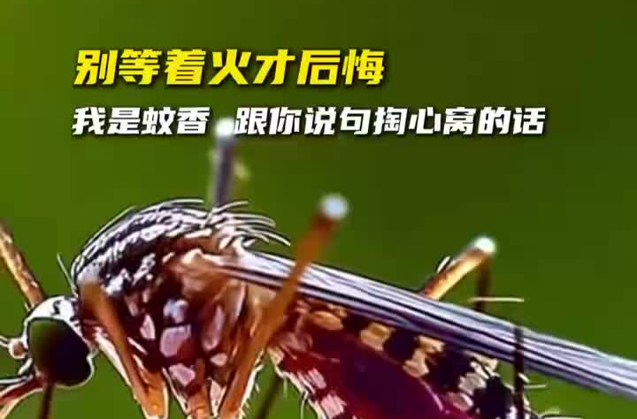 提醒：請(qǐng)收好這份蚊香安全使用指南 