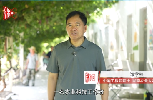 新湖南推薦官丨院士鄒學校：新湖南的三農(nóng)報道很接地氣