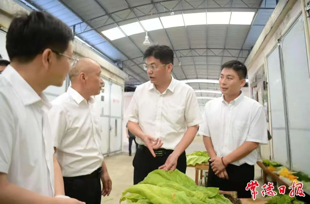 羅毅君在石門縣調(diào)研：構(gòu)建現(xiàn)代農(nóng)業(yè)產(chǎn)業(yè)體系 提升鄉(xiāng)村內(nèi)生發(fā)展動力