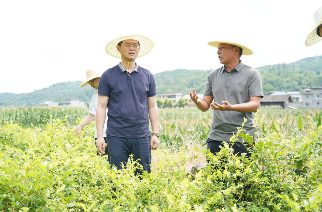 赤橙黄绿青蓝紫 彩练当空舞振兴——长沙市第十三批对口帮扶工作组帮扶龙山县两年工作综述