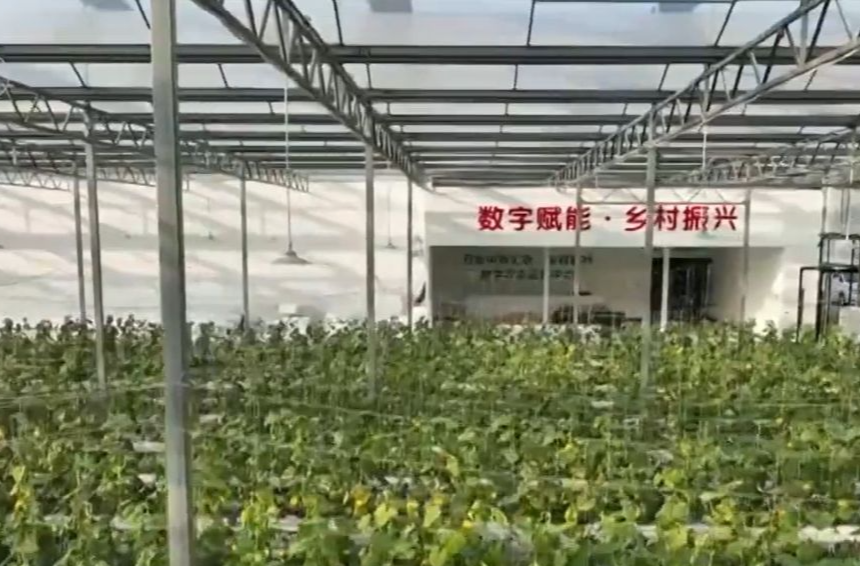 【新思想引领新征程】数字乡村建设助力农业农村现代化