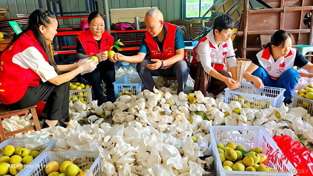 文明实践助力乡村振兴，衡阳模范好人共赴“桃园之约”